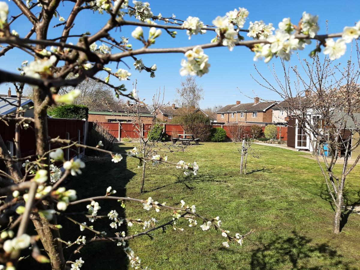 Huge Garden House For Contractors And Families Villa Ollerton Buitenkant foto
